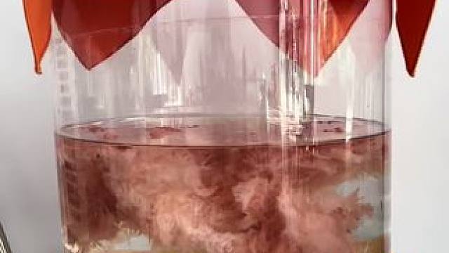 我发布了一个新视频，快来围观吧！