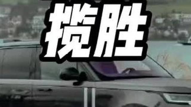 为什么不能买抵押车，泰森上午买的，下午被打成泰迪#抵押车到底能不能买 #抵押车 #清收队