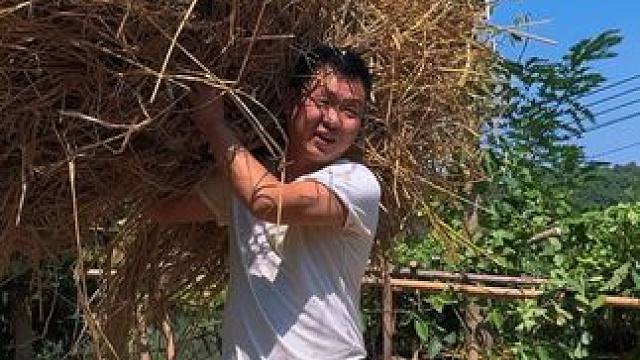 大鱼大肉吃伤了，整点酸辣土豆，开胃下饭真是爽！ #新农人计划2024 #农村美食 