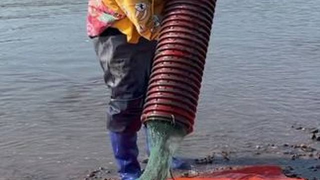 #户外捕鱼 #好多鱼