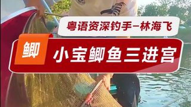 饵料被狗叼走了 饵料被狗叼走了，只钓了半场好鱼，心塞