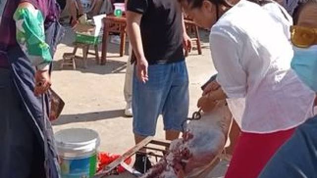 喜迎国庆杀土猪，十里乡邻忙抢购。再现大集体时杀猪买肉的热闹场景#农村杀猪现场 #人多就是热闹 #现场