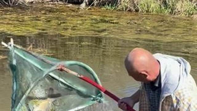 #户外捕鱼 #好大一条鱼