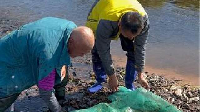 #户外捕鱼 #好多鱼