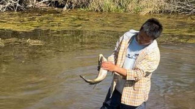 #户外捕鱼 #好大一条鱼