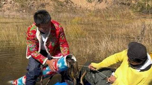 #户外捕鱼 #好多鱼