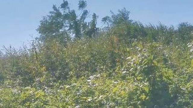 #大山里的风景就是这么美 开心最重要