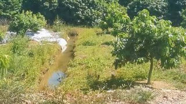 #山卡卡的农村人 农村生活