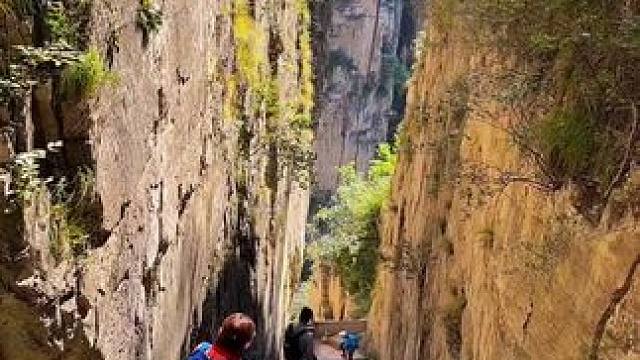 人生，梦如路长……