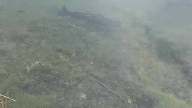 回去拿傢伙去#秋天正是钓鱼好时节 #钓鱼的乐趣只有钓鱼人懂