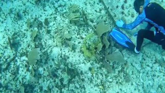 #秋天正是钓鱼好时节 #抓龙虾