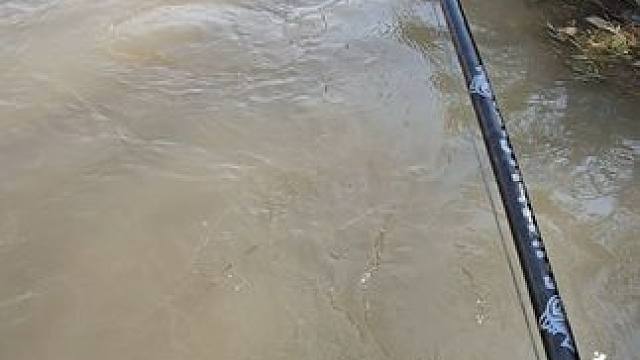 #这鱼哪个钓友看了不羡慕 #秋天正是钓鱼好时节 #每个钓鱼人都有个百斤巨