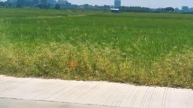 #今天的天空特别美 你们试过这种感觉吗，真的很棒很开心#又菜又爱玩系列