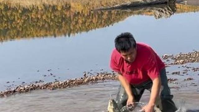 #户外捕鱼 #好大一条鱼