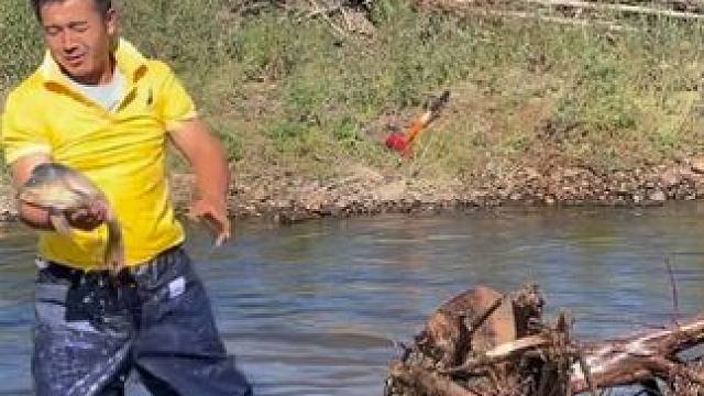 #户外捕鱼 #好大一条鱼