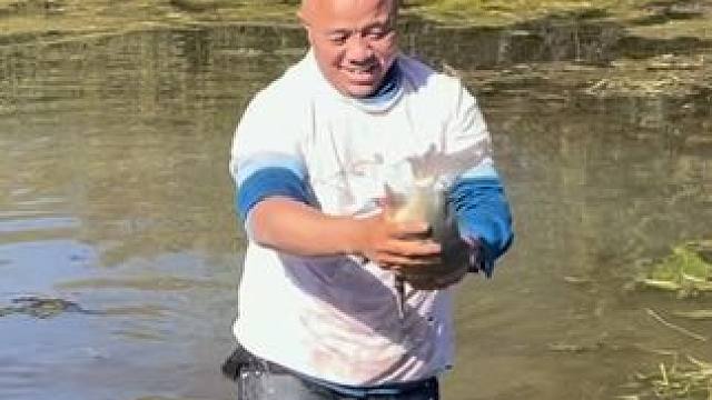 #户外捕鱼 #好大一条鱼