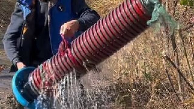 #户外捕鱼 #好多鱼