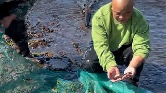 #户外捕鱼 #好多鱼