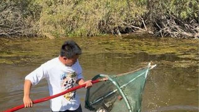 #户外捕鱼 #好大一条鱼