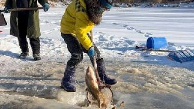 #户外捕鱼 #好多鱼