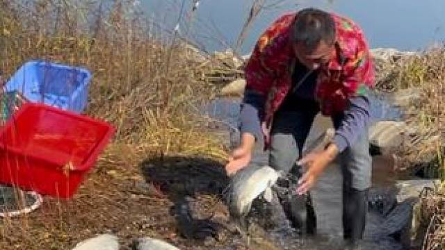 #户外捕鱼 #好多鱼