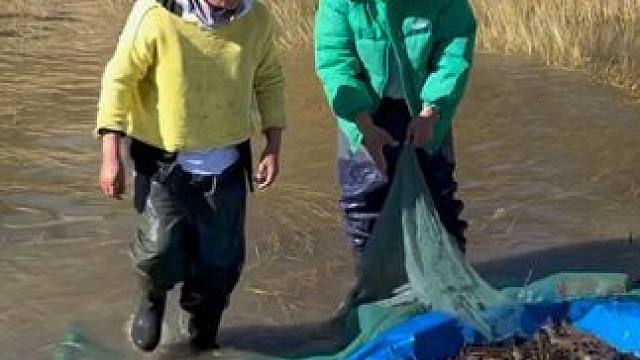 #户外捕鱼 #好多鱼