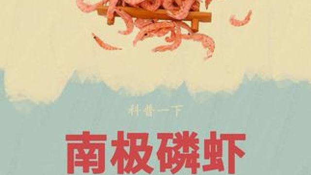 老外真是怎么也没想到，我们竟然已经实现了磷虾自由#南极磷虾 #虾肉 #虾干 #虾皮 #科普