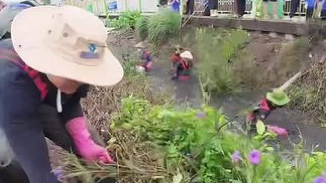 越南河道垃圾清理，清完瞬间通畅了！#河道清理 #清理垃圾 #极度舒适