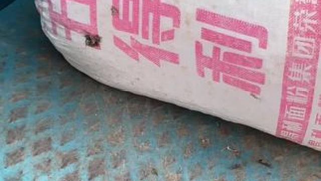 俺爸说我 没材料 
想当年他一手拎一麻袋  
你拎一袋我看看 撵我半截地吓S人 #农民种