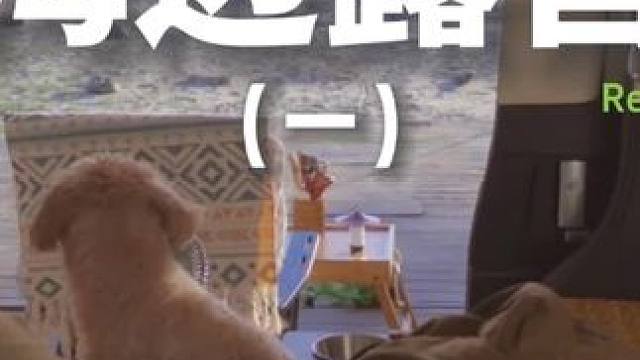 海边露营（一）#露营 #解压 #助眠 #萌宠 #户外露营