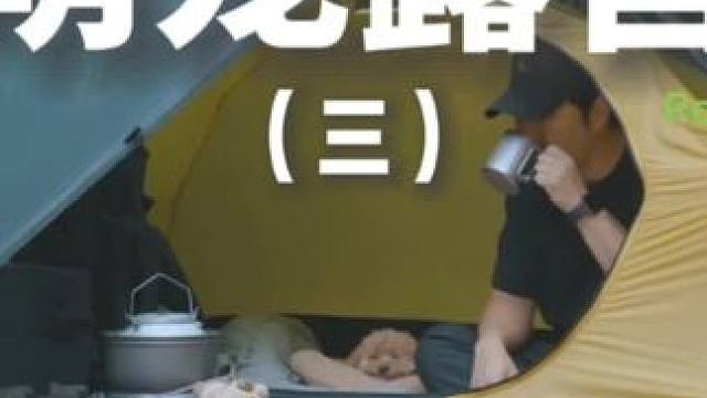萌宠露营（三）#露营 #解压 #助眠 #萌宠 #户外露营