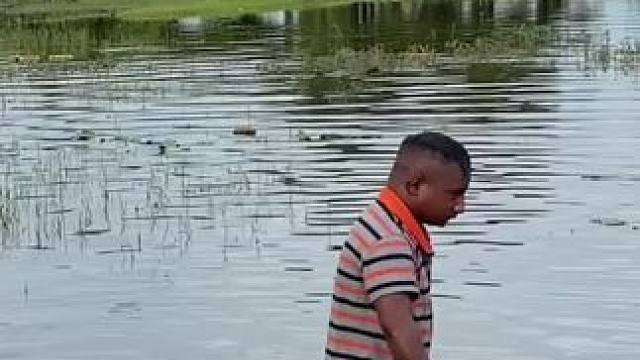 东南亚小土狗来了哈哈哈 #我的乡村生活 #老外真会玩 #看一遍笑一遍