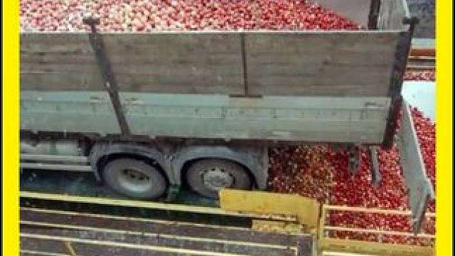 这才是真正的苹果汁！ 两大瓶，超划算！#苹果 #苹果汁 #口感特别好 #饮品推荐