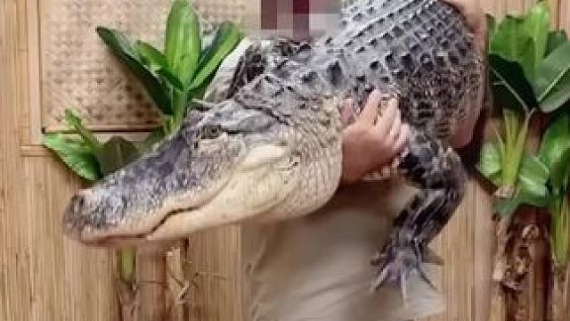 一条小鱼而已#是时候展现真正的技术了 #动物世界看人生百态 #带着瑞幸黄油小熊过十一