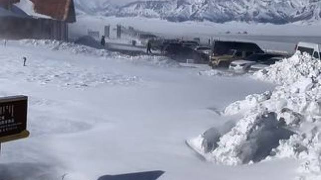 雪后的赛里木湖直接封神！#赛里木湖 #新疆