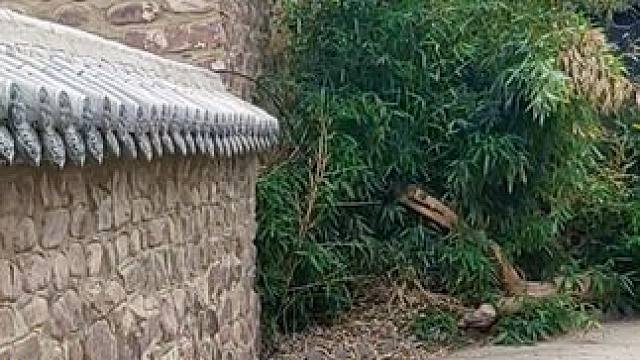 石洞沟村 #河南刚哥#志刚在路上#随拍