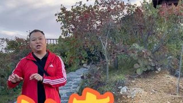 长寿山 #长寿山华服文化节#国庆去哪玩#大师姐策划#长寿山红叶节#金秋赏红叶