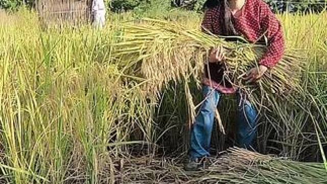 山卡卡里的农村大姐学费了开直播每天收获满满您还在恐播怕播不敢开播开播不会说什么吗#记录真实生活 #农