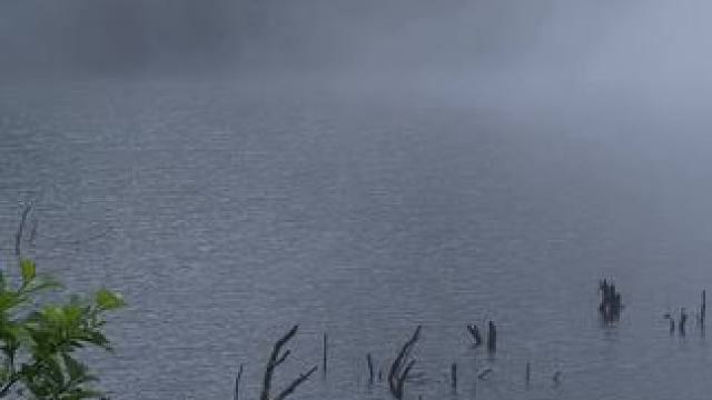 我有一个秘密悄悄告诉你，欢迎你来到哀牢山。#云南哀牢山仙境 #哀牢山到底有多凶险 #哀牢山 #哀牢山