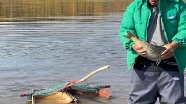 #户外捕鱼 #好大一条鱼