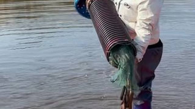 #户外捕鱼 #好多鱼