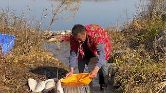 #户外捕鱼 #好大一条鱼