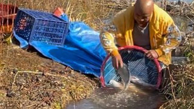 #户外捕鱼 #好多鱼