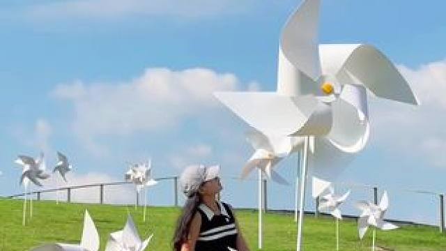 国庆不远行，杭州自驾1小时，承包一片风车山坡#国庆假期被安排明白了