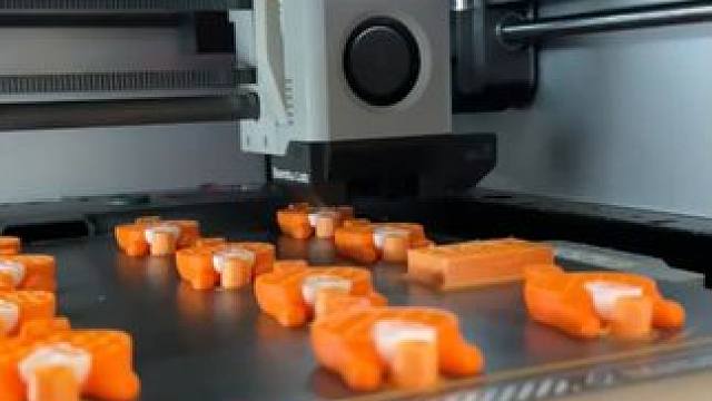 专家没话说了，我不信你能找出它的危险之处 #3d打印   #玩个很新的东西  #宝可梦