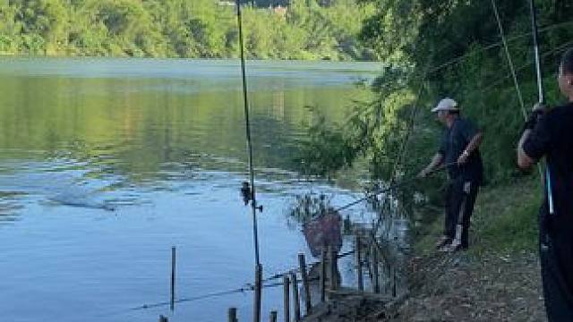 谷恒碌野#钓鱼的乐趣只有钓鱼人懂 #钓鱼 #钓鱼人 #钓鱼人就是这么疯狂 #爱生活爱钓鱼