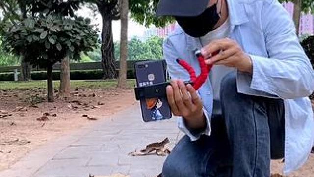 一条小路试试这样自拍，太美了！教你用一片树叶拍摄创意视频#手机摄影 #拍摄技巧 #国庆假期