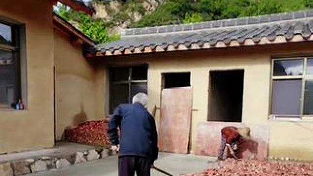 田河村随拍#国庆你回家了吗#寻美徽县#家乡美景随拍#我是家乡陇南文旅推荐官