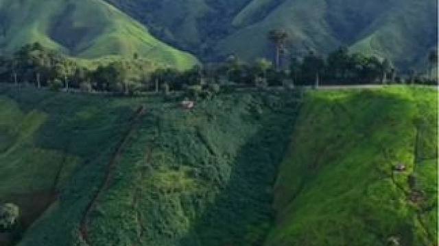 最美的风景就在路上。#沿途风景随拍 #旅行推荐官