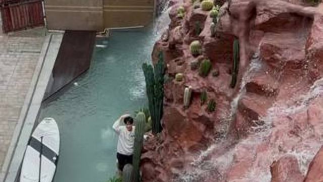 重生之我在乡下打造山崖瀑布水景池12—植物种植#荒野建造 #养鱼日记 #游泳池 #新农人计划2024